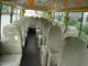 Перемещение звезды Сафетлы дизельное везет микроавтобус на автобусе Дурабле 30 с ручной коробкой передач поставщик